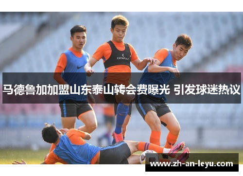 马德鲁加加盟山东泰山转会费曝光 引发球迷热议 马德鲁加加盟山东泰山转会费曝光 引发球迷热议