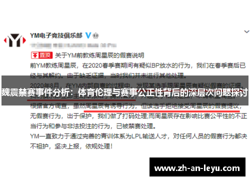 魏震禁赛事件分析：体育伦理与赛事公正性背后的深层次问题探讨