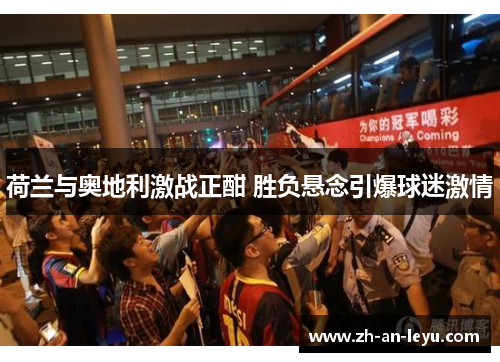 荷兰与奥地利激战正酣 胜负悬念引爆球迷激情