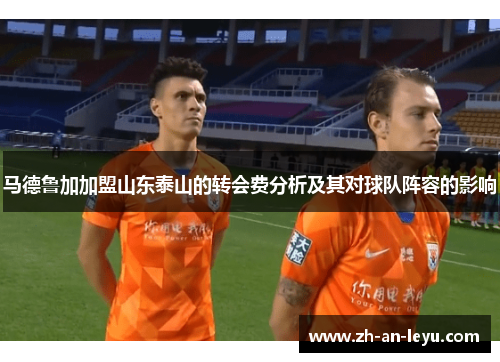 马德鲁加加盟山东泰山的转会费分析及其对球队阵容的影响